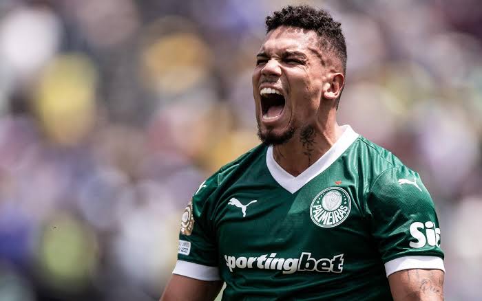 Paulinho no Palmeiras
