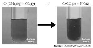 Dengan demikian terbukti bahwa dalam proses pernapasan, kita mengeluarkan co2. Cara Menguji Adanya Unsur C H Dan O Dalam Suatu Senyawa Kimia