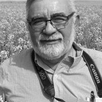 Alphonso 'Buelito' Rincón