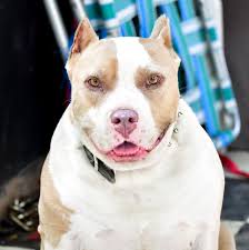 Possibilities by Chenys