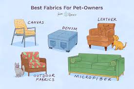 Keep Your Home Fresh With 5 Pet Friendly Fabrics Pet Friendly Fabric Pet Friendly Living Room Pet Friendly Furniture