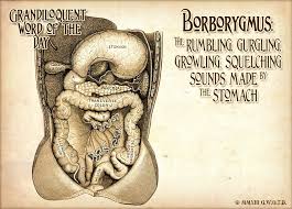 Borborygmus Bore Bur Ig Muss Noun A Rumbling Or Gurgling Noise Made By The Movement Of Fluid And Gas In The Intestines U Word Of The Day Words Fancy Words