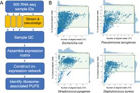 Global young academy, universiti tunku abdul rahman. Lstrap Crowd Prediction Of Novel Components Of Bacterial Ribosomes With Crowd Sourced Analysis Of Rna Sequencing Data Bmc Biology Full Text