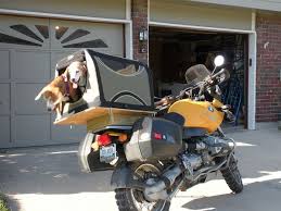 Follow me on my journey to discover/create the best and safest pet carrier for the motorcycle, particularly for those larger dogs out there who want to join. 12 Motorcycle Dog Carrier Ideas Dog Carrier Motorcycle Biker Dog