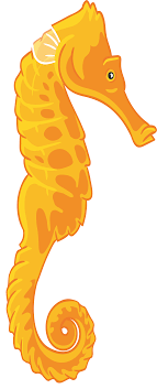 We did not find results for: Download Hd Seahorse Cartoon Drawing Illustration Caballito De Mar Dibujo Transparent Png Image Nicepng Com