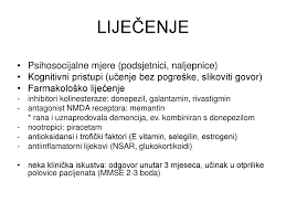 Dr Sc Elizabeta Radonic Hrvatski Institut Za Istrazivanje Mozga Ppt Download