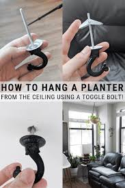 How To Hang A Planter From The Ceiling Toggle Bolt Installation Tips House Plants Hanging Hang Plants From Ceiling Hanging Plants Indoor