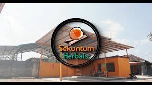 Kualitas telur ayam yang tinggi, mengandung nutrisi yang tinggi pula. Keistimewaan Telur Herbal Youtube