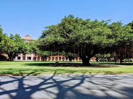 Please contact or visit the official website of 國立成功大學 for detailed information on facilities and services provided, including the type of scholarships and other financial aids offered to local or international students; æˆåŠŸå¤§å­¸ é¡é€±åˆŠmirror Media