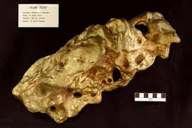 Gold nuggets of various sizes have been found throughout the world. The Largest Gold Nuggets Ever Found Lovemoney Com