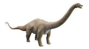 † диплодок череп диплодока научная классификация царство: Free Diplodocus Augmented Reality Ar Quick Look Model Educational