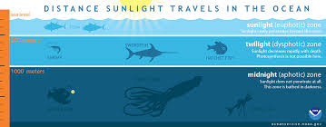 How Far Does Light Travel In The Ocean