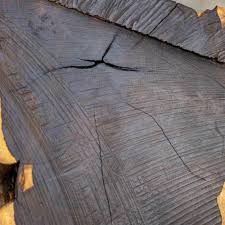 Image result for Dalbergia melanoxylon