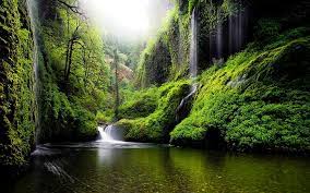 You can choose the image format you need and install it on absolutely any device, be it a smartphone, phone, tablet, computer or laptop. Nature Hd Wallpapers Free Download Wallpaperbetter