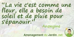 La Vie C Est Comme Une Fleur Elle A Besoin De Soleil Et De Pluie Pour S Epanouir Anonyme Citation Jardin Citations Bonheur Famille Citation