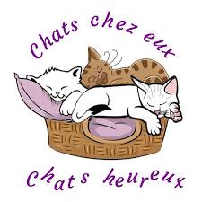 Chats chez eux, chats heureux