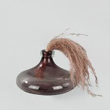 Image result for Agrostis products