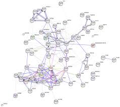 Although 91.5% of women will survive 5 years when the cancer is localized, only 12.6% will survive distant disease.1. New Biomarkers For Cervical Cancer Perspectives From The Igf System Intechopen
