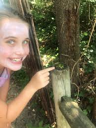 Found this at the San Diego Zoo Safari Park!