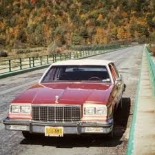 Image result for Light Flax Firemist 1983 Buick