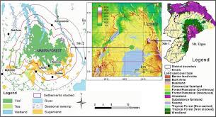 Image result for Bothriocline