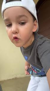 Cachorros Engraçados e a Música que Encanta