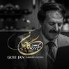نتیجه تصویری برای ‫دانلود آهنگ روزگار کودکی از فریبرز لاچینی mp3‬‎