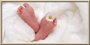 Les Felicitations A L Occasion D Une Naissance Audio La Science Legiferee العلم الشرعي