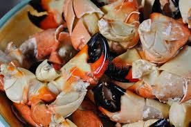 Stone crab a daily le the best places for stone crab in south florida 3 ways to cook stone crab claws wikihow stone crab claws with mustard sauce former chef. 6 216 Stone Crab Photos Free Royalty Free Stock Photos From Dreamstime