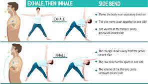 We did not find results for: How To Combine Breath And Movement In Your Yoga Practice Sequence Wiz