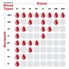 This list concerns blood type distribution between countries and regions. Ubc Researchers Have Found A Way To Convert Any Blood Type To The Universal O Cbc Radio