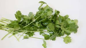 5 Herbes Aromatiques Pour Les Purees De Bebe Cuisinez Pour Bebe Herbes Aromatiques Puree Bebe Aromates