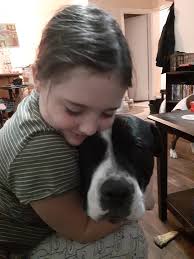 Dogs and babies have a special bond