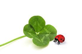 Image result for chance