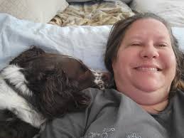 American Brittany Rescue, Inc