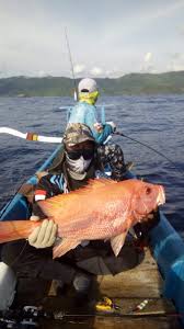 Umpan dan teknik mancing ikan kakap merah. Pantai Sepi Salah Satu Spot Terbaik Memancing Giant Fish Di Lombok