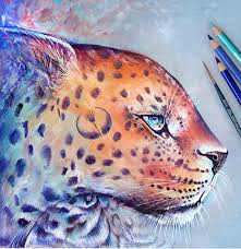 If you also want to draw flowers, but you don't know how to start or what to draw then you are in the right place. Animal Colour Pencil Sketches Download Free Mock Up