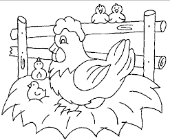 Chickens live about 5 to 7 years. Chicken Coloring Pages For Kids Coloring Home