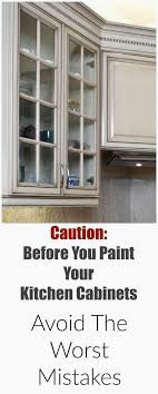 Kitchen Cupboard Organising Ideas And Pics Of Luxor Kitchen Cabinet Reviews Tip 5 Painting Kitchen Cabinets Kitchen Remodeling Projects New Kitchen Cabinets