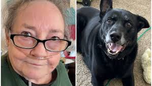 Fundraiser by Jodi Howell : Elderly woman and Dog homeless in 12 days.