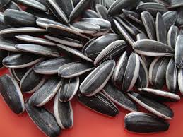 Image result for ‫خواص تخمه ی آفتابگردان‬‎