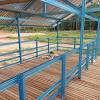 Kandang kambing modern untuk penggemukan adalah kandang dengan bentuk panggung. 1
