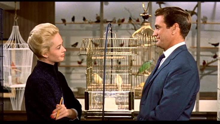THE BIRDS (1963): “Birds just don't go around attacking people without no  reason.” – Alfred Hitch-blog