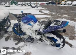 Image result for Ice White 1999 Motorcycle