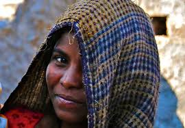 Kim Stebbins's favorites