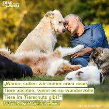 Tierschutzverein verhilft obdachlosem mit hund zu einem happy end. Oe1mdqcgvcun3m