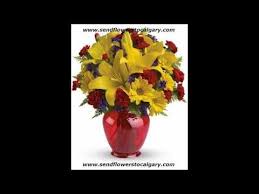 Send Flowers From Mongolia To Calgary Alberta Canada Http Calgaryflowersdelivery Com Sendflowerstocal Calgary Alberta Canada Calgary Alberta Alberta Canada