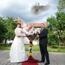Die stadt will auch das fütterungsverbot für tauben besser durchsetzen, da die vögel in den häusern futter bekommen. Der Ablauf Weisse Tauben Weisse Hochzeit Hochzeitsgeschenk Munchen Umgebung Heiraten Geschenk Hochzeitstaube Zahme