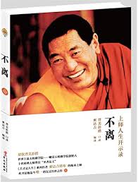 Amazon.com: Constant: The Master Life Open Record [Paperback][chinese  Edition]: 9787507540727: Fa wang jin mei peng cuo: Libros
