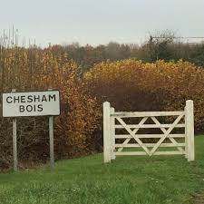 Chesham bois shahrida tug'ilgan taniqli odamlar jinoyat yozuvchisi va bastakori bo'lgan edmund krispin, leytenant qo'mondoni piter skoen uotkinson. Chesham Bois Parish Council Home Facebook